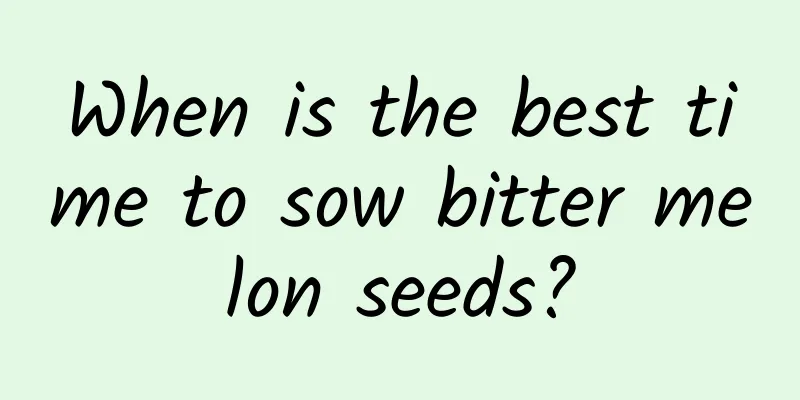 When is the best time to sow bitter melon seeds?