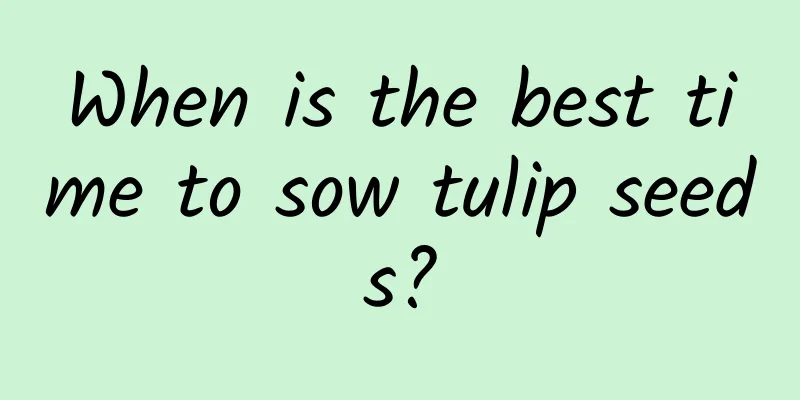 When is the best time to sow tulip seeds?