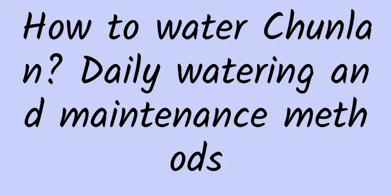 How to water Chunlan? Daily watering and maintenance methods