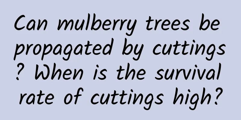 Can mulberry trees be propagated by cuttings? When is the survival rate of cuttings high?