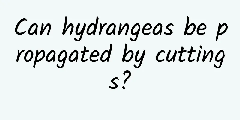 Can hydrangeas be propagated by cuttings?