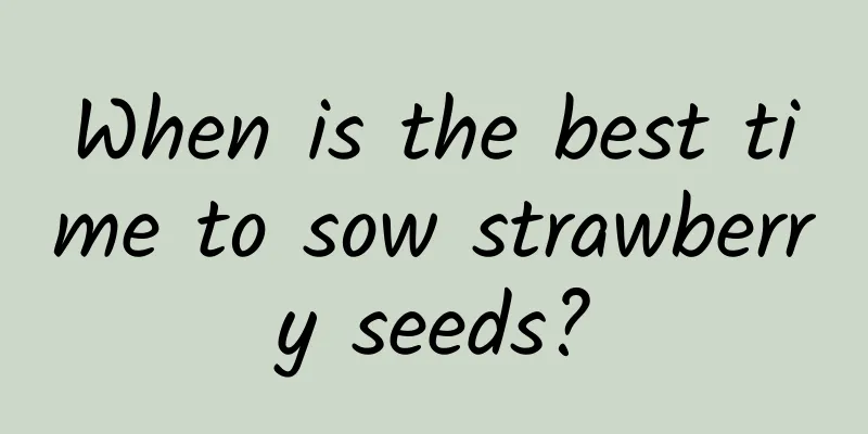 When is the best time to sow strawberry seeds?