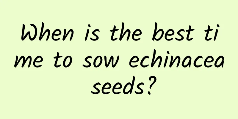 When is the best time to sow echinacea seeds?