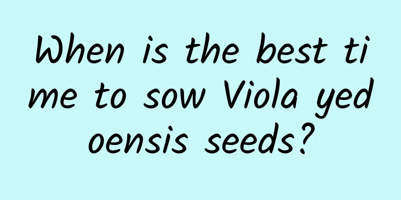 When is the best time to sow Viola yedoensis seeds?