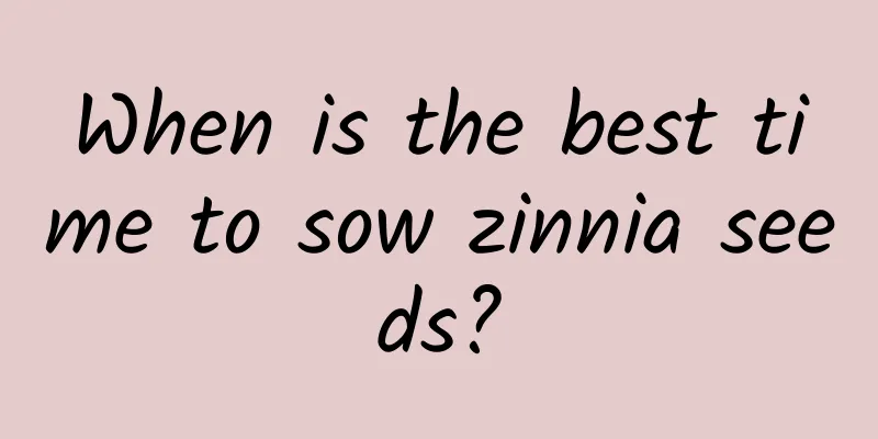 When is the best time to sow zinnia seeds?
