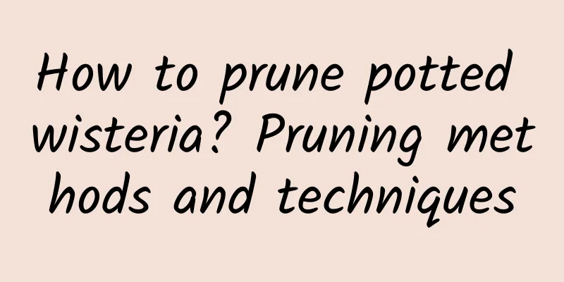 How to prune potted wisteria? Pruning methods and techniques
