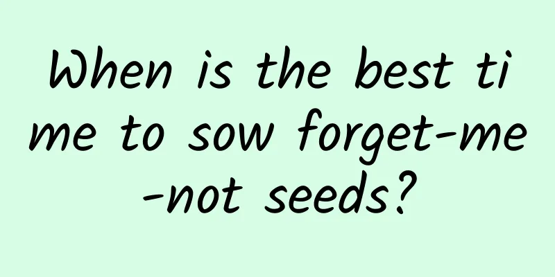 When is the best time to sow forget-me-not seeds?