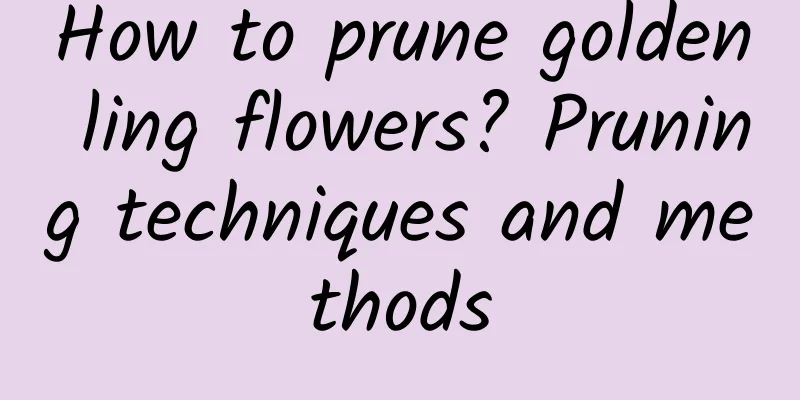 How to prune golden ling flowers? Pruning techniques and methods