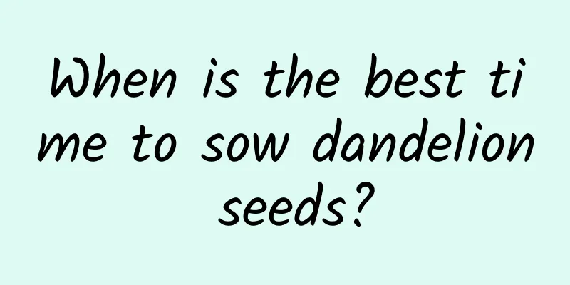 When is the best time to sow dandelion seeds?