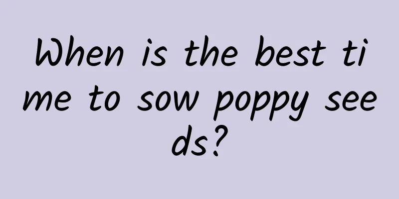When is the best time to sow poppy seeds?