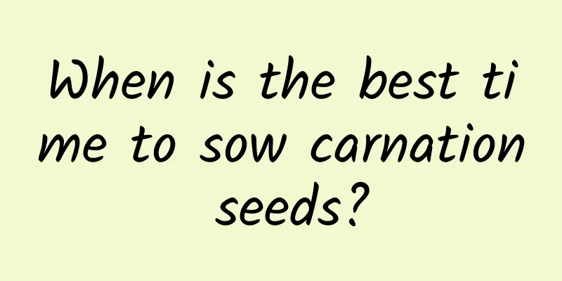 When is the best time to sow carnation seeds?