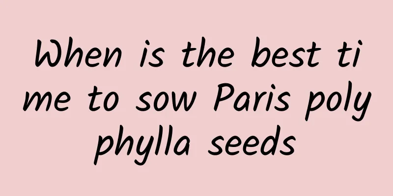 When is the best time to sow Paris polyphylla seeds