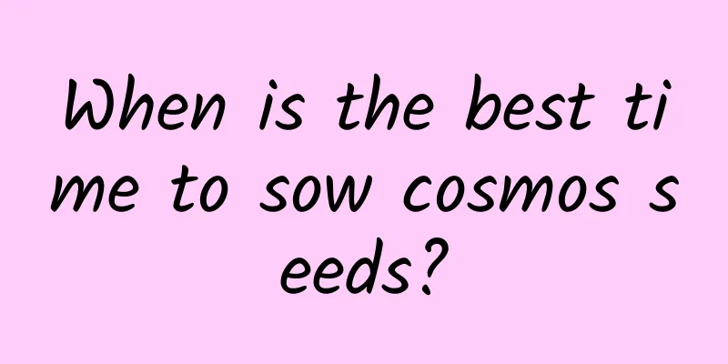 When is the best time to sow cosmos seeds?
