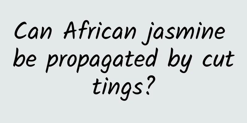 Can African jasmine be propagated by cuttings?