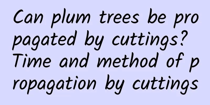 Can plum trees be propagated by cuttings? Time and method of propagation by cuttings