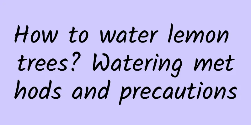 How to water lemon trees? Watering methods and precautions