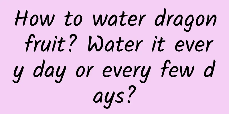 How to water dragon fruit? Water it every day or every few days?