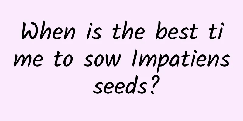 When is the best time to sow Impatiens seeds?