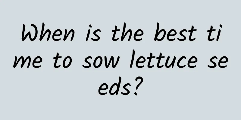 When is the best time to sow lettuce seeds?