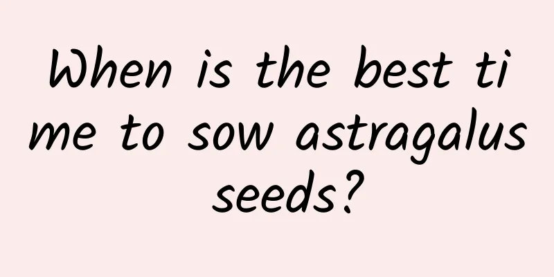 When is the best time to sow astragalus seeds?