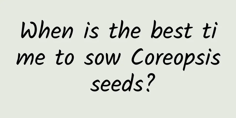 When is the best time to sow Coreopsis seeds?