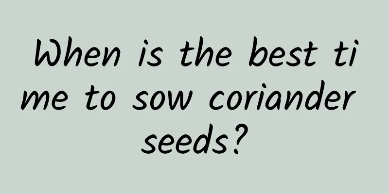 When is the best time to sow coriander seeds?