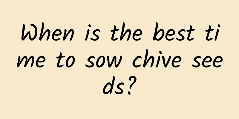 When is the best time to sow chive seeds?