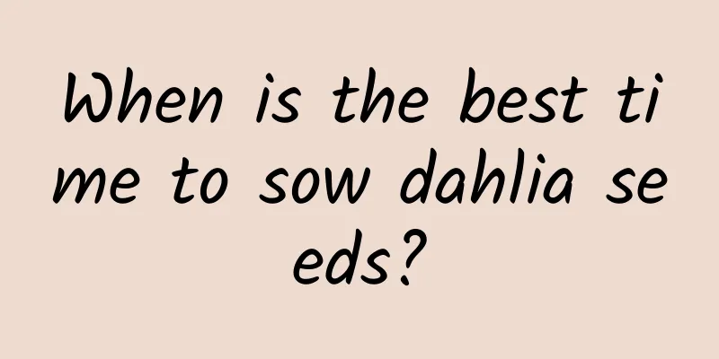 When is the best time to sow dahlia seeds?