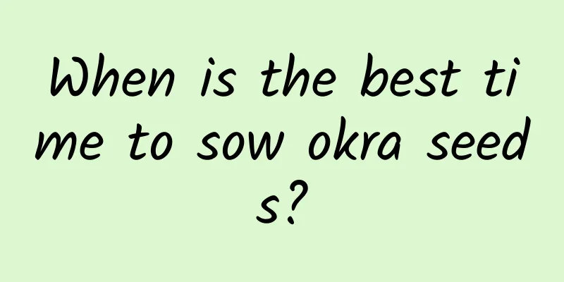 When is the best time to sow okra seeds?