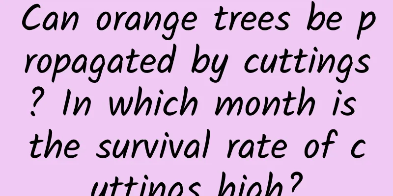 Can orange trees be propagated by cuttings? In which month is the survival rate of cuttings high?