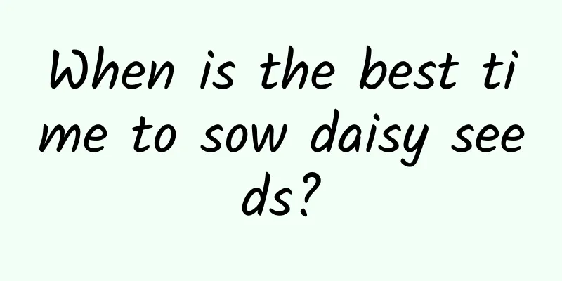 When is the best time to sow daisy seeds?