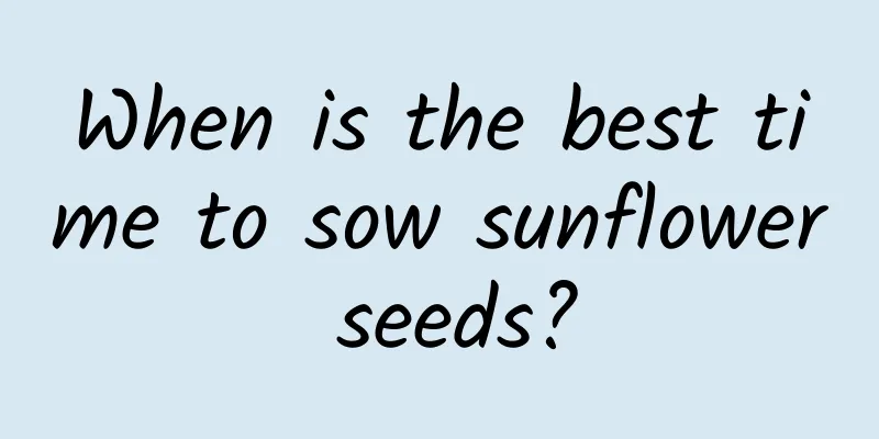 When is the best time to sow sunflower seeds?
