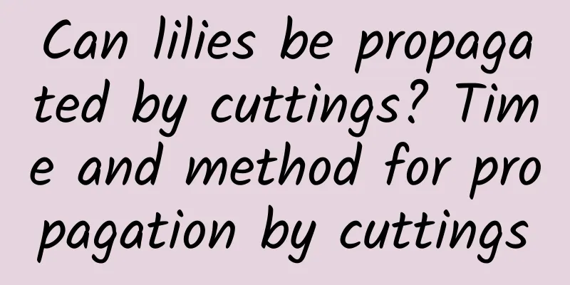 Can lilies be propagated by cuttings? Time and method for propagation by cuttings