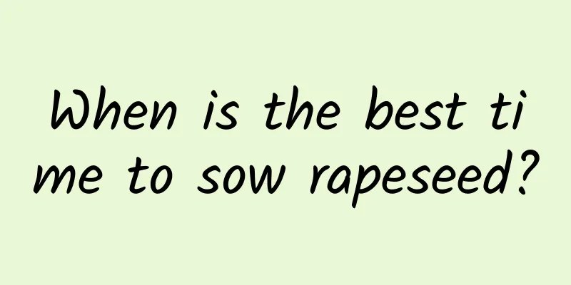 When is the best time to sow rapeseed?