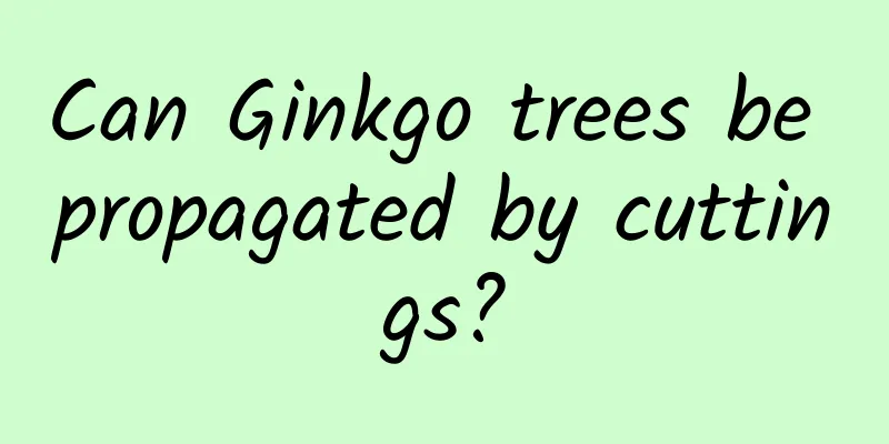 Can Ginkgo trees be propagated by cuttings?