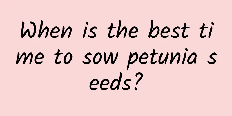 When is the best time to sow petunia seeds?