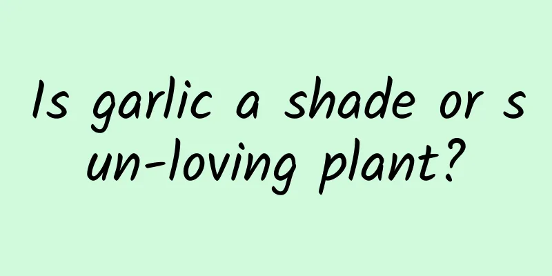Is garlic a shade or sun-loving plant?