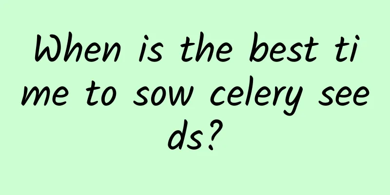 When is the best time to sow celery seeds?
