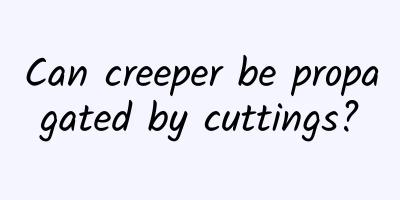Can creeper be propagated by cuttings?