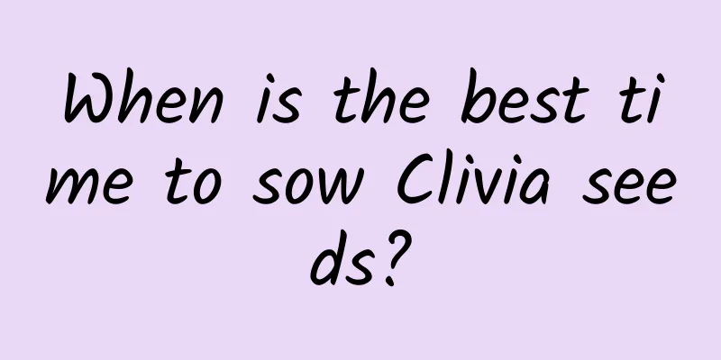When is the best time to sow Clivia seeds?