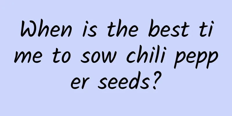 When is the best time to sow chili pepper seeds?