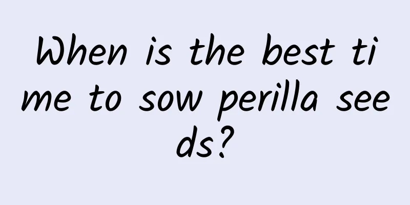 When is the best time to sow perilla seeds?