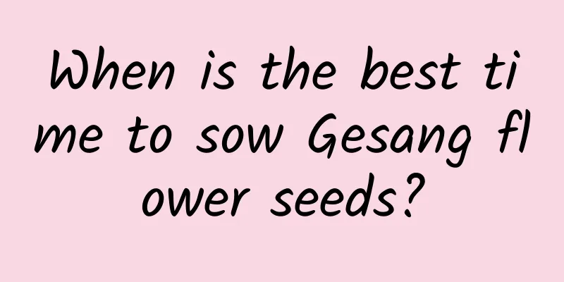 When is the best time to sow Gesang flower seeds?