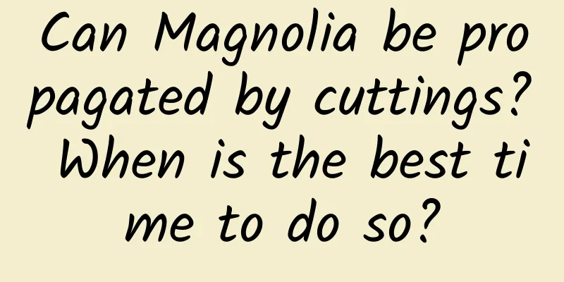 Can Magnolia be propagated by cuttings? When is the best time to do so?