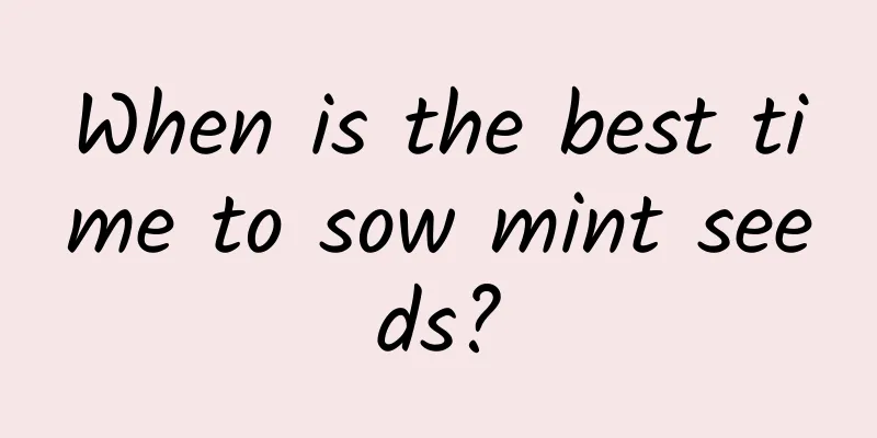 When is the best time to sow mint seeds?