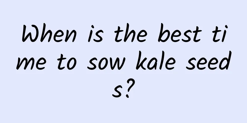 When is the best time to sow kale seeds?