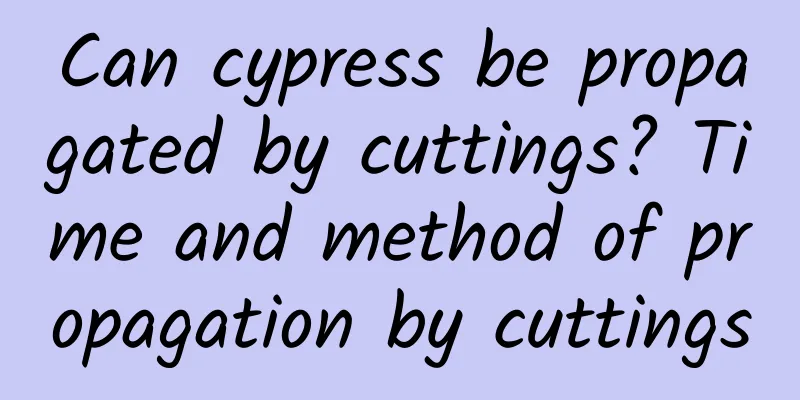 Can cypress be propagated by cuttings? Time and method of propagation by cuttings