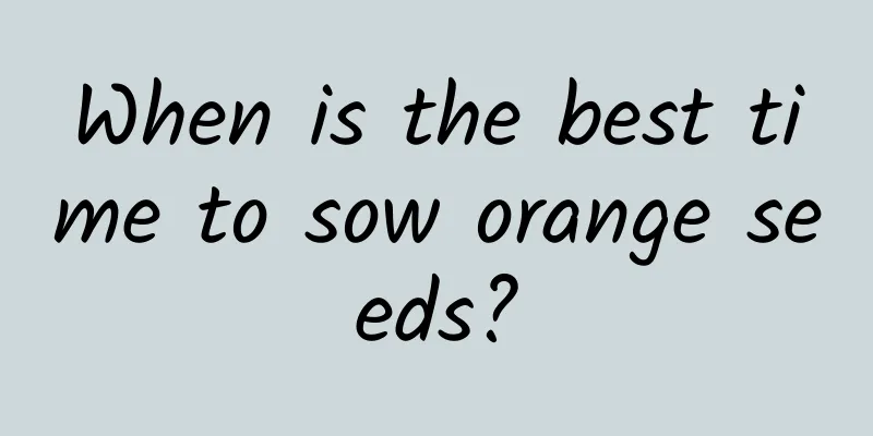 When is the best time to sow orange seeds?