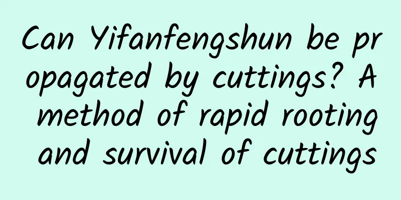 Can Yifanfengshun be propagated by cuttings? A method of rapid rooting and survival of cuttings