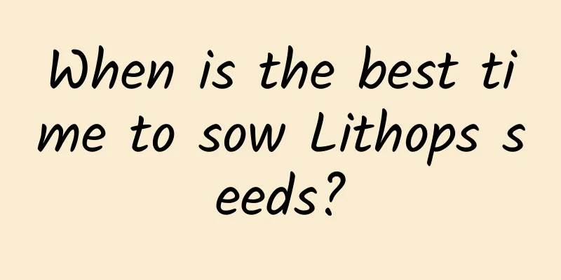 When is the best time to sow Lithops seeds?